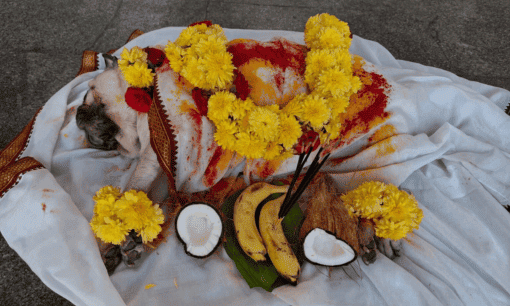 Pet Cremation Services in Bangalore