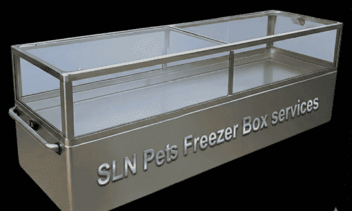 How Does a Pet Freezer Box Work Bangalore
