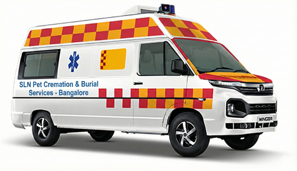 Pet dog and cat ambulance services bengaluru