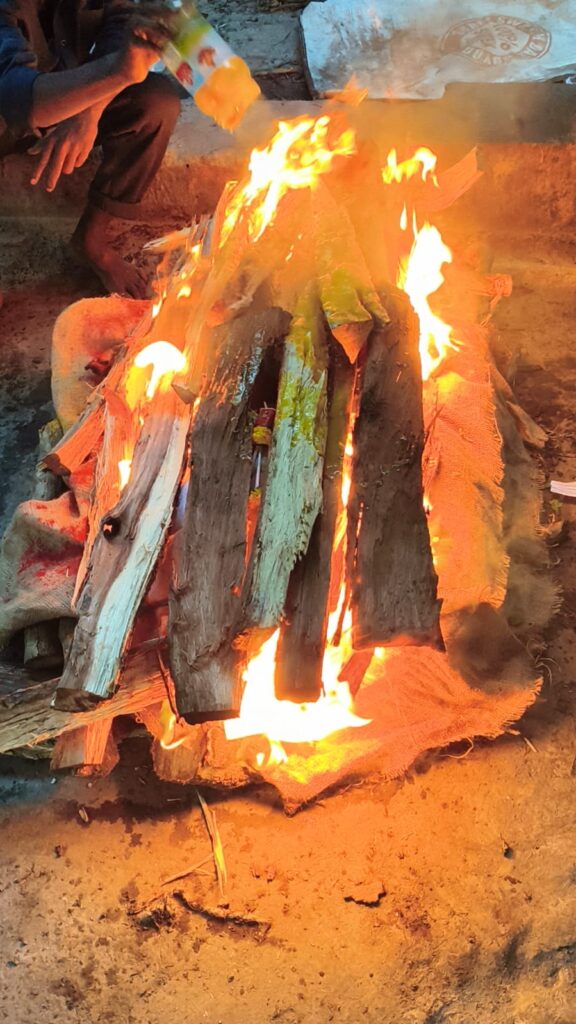 sln pets funeral services