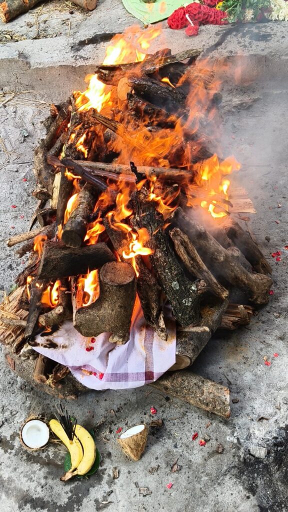 sln pets funeral services