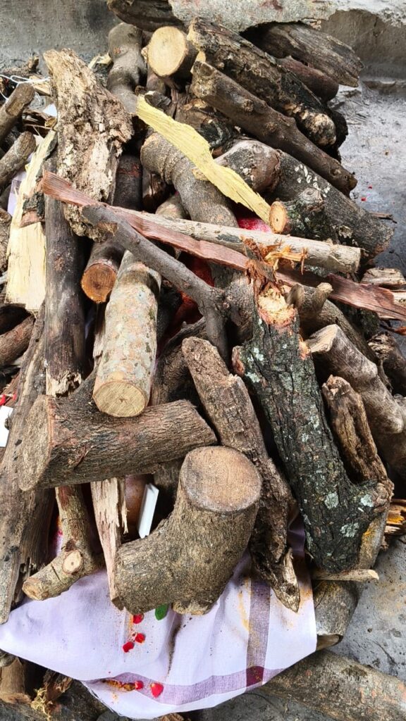 sln pets funeral services